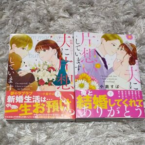 結婚したけど… 夫に片想いしています全巻 小倉すぱ