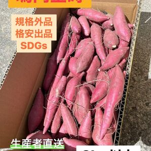 鳴門金時 規格外品 3kg SDGs