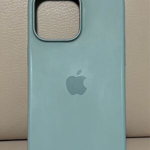 iPhone 14 Pro Max プロマックス Apple 純正品 ケース