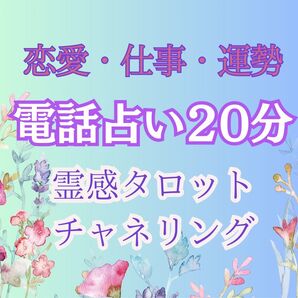 20分電話占い鑑定 チャットでもO.K 霊感タロット・チャネリング
