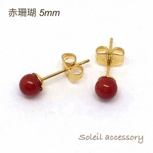 502【赤珊瑚】天然石一粒ピアス*5mm