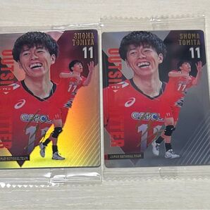 男子バレー ツインウエハース 富田将馬