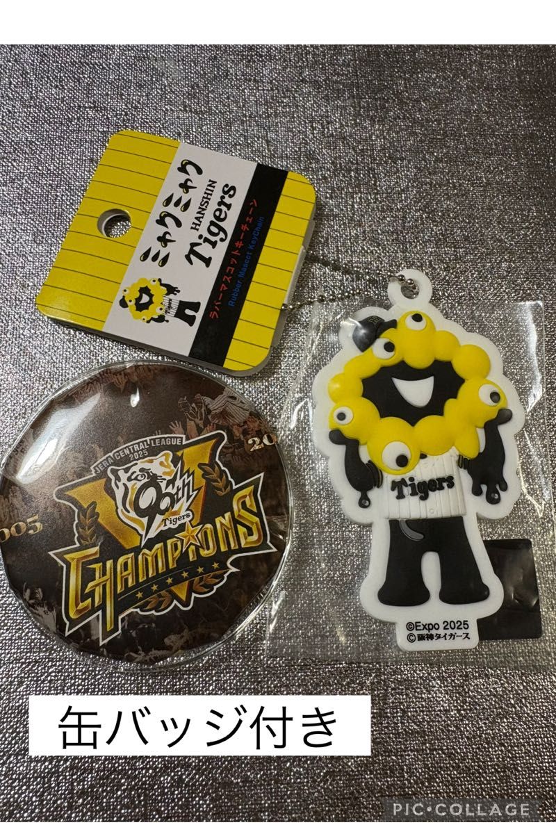 ロイスキャ ロイヤルスキャンダル ROYAL SCANDAL 色紙