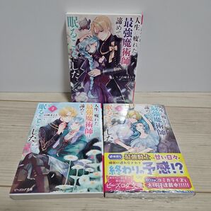 「人生に疲れた最強魔術師は諦めて眠ることにした 3」
