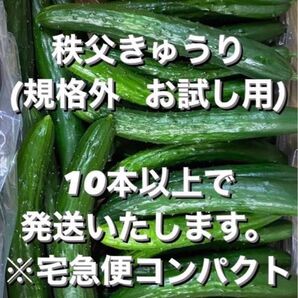 秩父きゅうり(規格外)10本以上※宅急便コンパクトで発送します。発送まで、お時間をいただいてしまう場合がございます。ご承知ください
