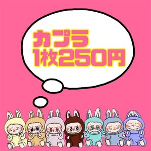 SNSで話題!!カプラ 防水シール1枚250円☆複数枚でお値引☆