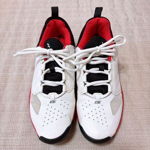 【まもなく削除】ヨネックス YONEX テニスシューズ 25.5cm