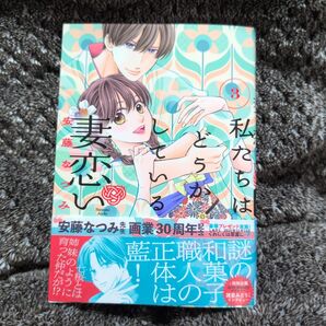 「私たちはどうかしている 妻恋い(3)」