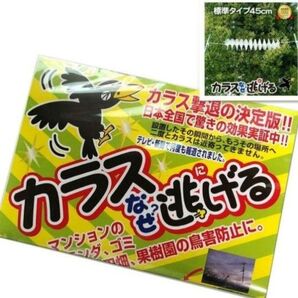 【効果抜群!】カラスなぜ逃げる?驚異の撃退率95%超!鳥害対策に!