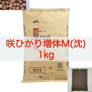 【送料無料】キョーリン 咲ひかり 増体 Mサイズ(沈下) 1kg 錦鯉・金魚・川魚
