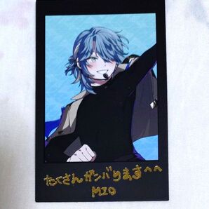 【ミオ】 vs ambivalenz xlamv シャタコレ 箔押し