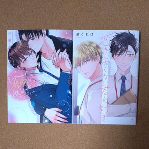 BLコミック レンタルくんの溺愛は(仮)じゃない/三乗あき・恋をしたくない君が好き/泉くれは