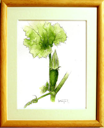 ■ No. 7413 Boutons floraux de citrouille par Kenji Tanaka / Livré avec un cadeau, Peinture, aquarelle, Nature, Peinture de paysage