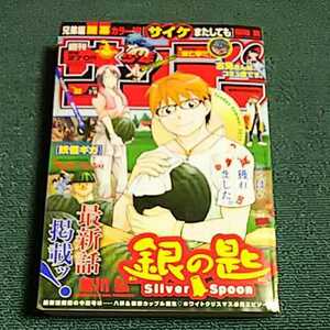 少年サンデー　 2017年32号