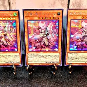 ★値段交渉歓迎★遊戯王【SE3枚 教導の騎士フルルドリス】白の物語