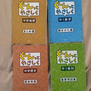ぐーんとやさしく 中学地理 数学 歴史 理科 4冊セット まとめ集 解きかた集 歴史年表 重要用語集