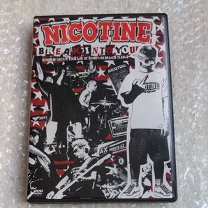 NICOTINE BREAK INTO YOU SCHOOL OF LIBERTY TOUR LIVE DVD