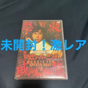 あと1日! 1000円割引 新品未開封! ドニー・イェン初期傑作!ドラゴン・バーニング 怒火威龍 セル版DVD
