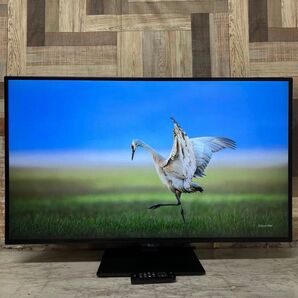 LG43V型4Kモニター4画面表示スピーカーブルーライト低減