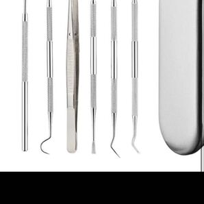 デンタルツール 歯石取り 歯垢除去 6点セット ステンレス製