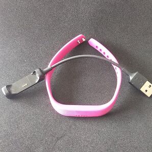 Fitbit Flex2 純正Bandと充電ケーブル