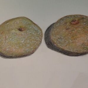 絵画手描きアート梨 インテリア