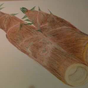 絵画クレパス画 色鉛筆画 筍 アート