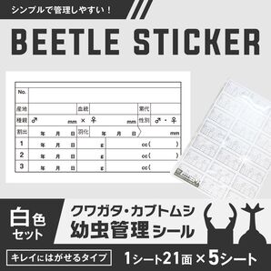 クワガタ・カブトムシ幼虫・成虫の飼育管理ラベルシール〈A4/1シート21面〉白5シート/カット済/菌糸瓶・ケースに◎ハンドメイド