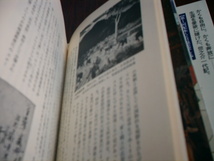 送料無料 日本の歴史２５　自由民権 小学館 197６年３月１０日初版第1刷発行 _画像8