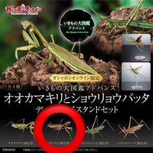 オンライン版 いきもの大図鑑アドバンス オオカマキリ(褐色) ディスプレイスタンドセット バンダイ フィギュア