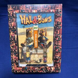 HAL&BONS ハル&ボンズ キーホルダー ストラップ 4個(未使用)とDVDのセット