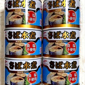 さば水煮★食塩不使用★190g × 6缶 マルハニチロ さば缶 国産さば 国内生産 非常食 保存食 備蓄 防災食 ストック 鯖缶
