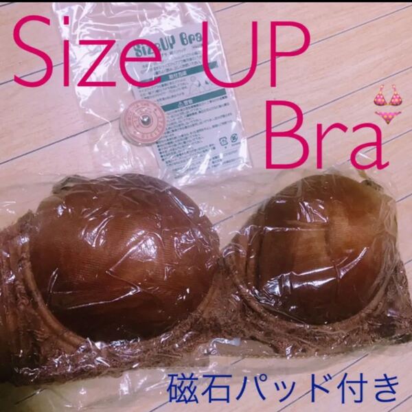 【新品未使用】 Size UP Bra サイズアップブラ ブラジャー 磁石パッド 育乳 バストアップ