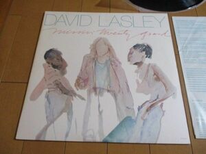 DAVID LASLEY デヴィッド・ラズリー デビッド・ラズリー MISSIN' TWENTY GRAND 風のファルセット 米 LP ジェームス・テイラー 喜多嶋修 他