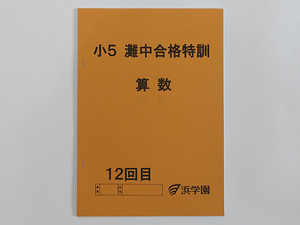 ★浜学園 小5 算数 灘中合格特訓　テキスト 12回目