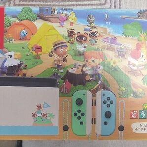 Nintendo Switch どうぶつの森