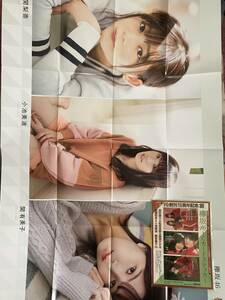 欅坂46 田村保乃　松田里奈　森田ひかる　小関梨香　小池美波　関有美子　ステッカー　特大ポスター！