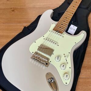 バッカス BSH-STD25 RSM/M ローステッドメイプル SSH 25インチスケール グローバルシリーズ ストラト タイプ