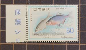 未使用切手 自然保護シリーズ　ミヤコタナゴ 発行（1976年）