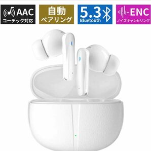 Bluetooth5.3 ワイヤレスイヤホン iphone/Android 防水