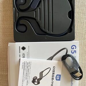 Bluetooth 5.3イヤホンマイク付きIPX6防水日本語説明書ブルー