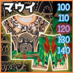 再入荷【120】マウイ コスプレ 2点セット 半袖 コスチューム ダンス ハワイ 衣装 Dハロ 男の子 キッズ モアナ