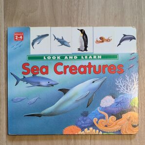LOOK AND LEARN Sea Creatures 英語絵本 知育絵本 子供向け