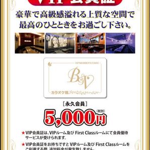 カラオケ館 VIPカード