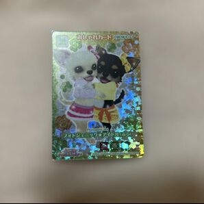 ワンタメ フォトジェニックアイドル(ふく)