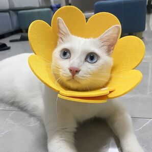 エリザベスカラー 猫 犬 ソフト 軽量 防水 傷舐め防止 引っ掻き防止 傷口保護 手術後のケア 柔らかい (イエロー、M)