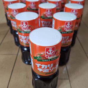 イカリソース 中濃ソース 250ml 15本まとめ売り