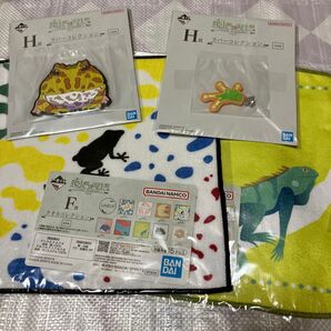 一番くじ 爬虫類両生類 ラバーコレクション タオルコレクション