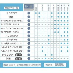 性病検査 13項目