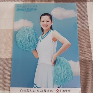 綾瀬はるか クリアファイル 日本生命